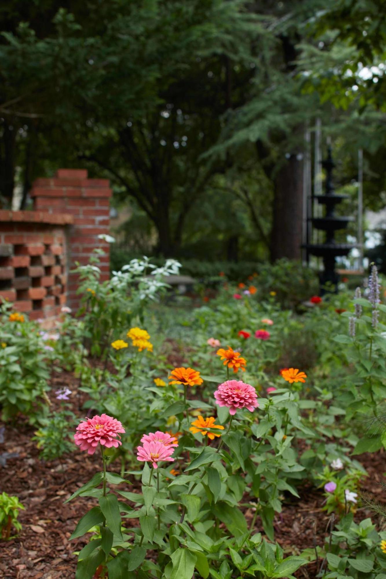 Apt2@Edenbrae - Walkable Southern Gothic Mansion Apartment Birmingham Exterior photo