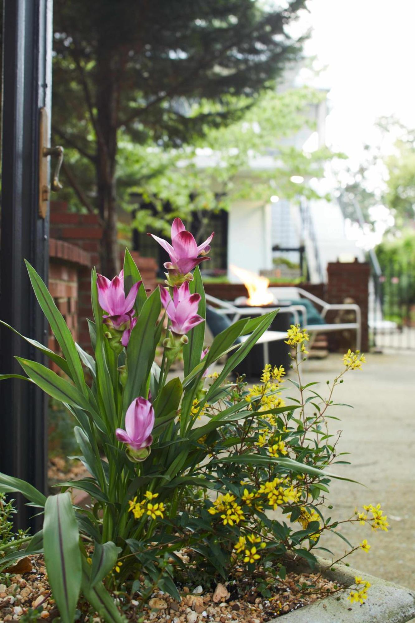 Apt2@Edenbrae - Walkable Southern Gothic Mansion Apartment Birmingham Exterior photo