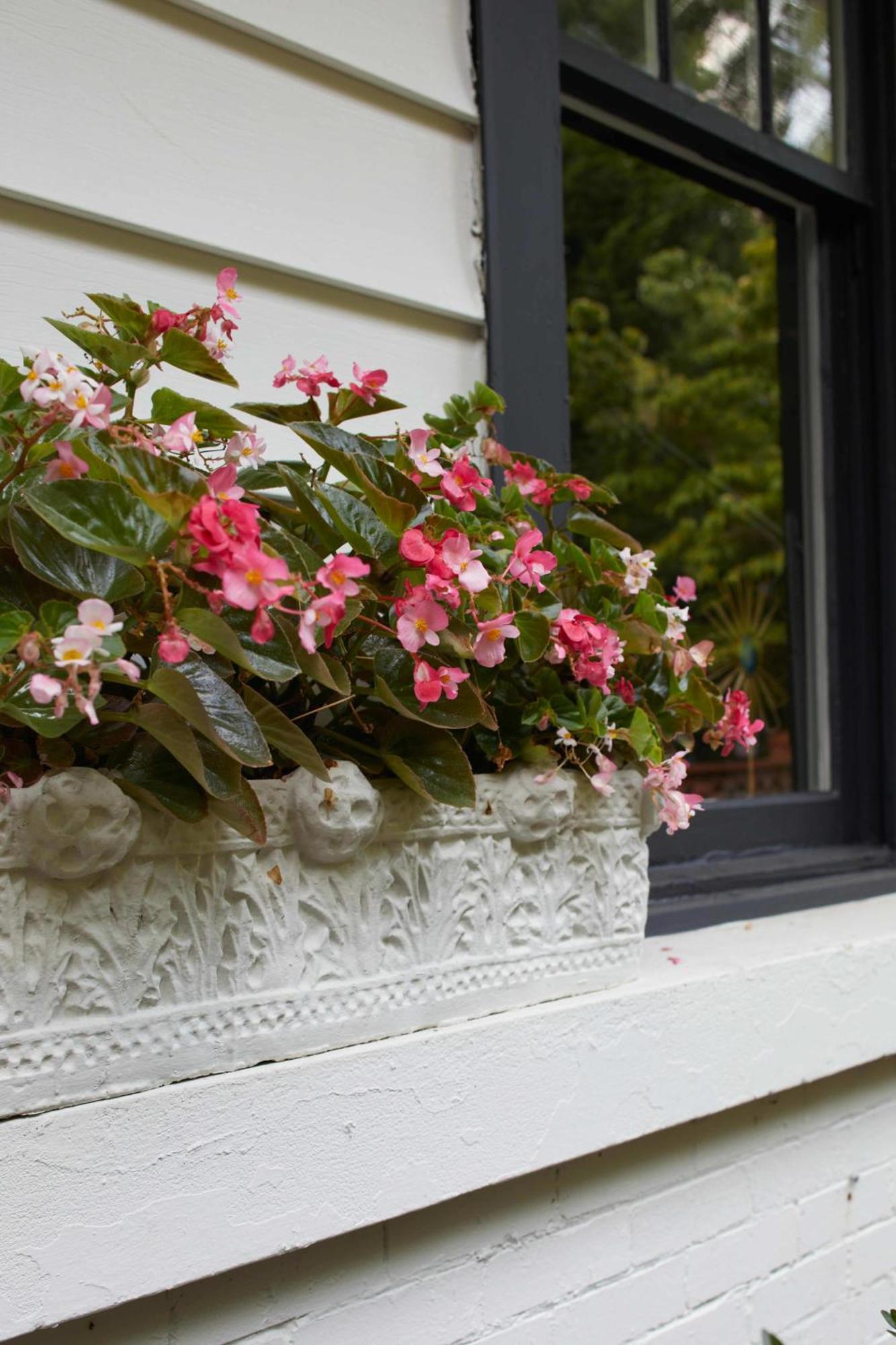 Apt2@Edenbrae - Walkable Southern Gothic Mansion Apartment Birmingham Exterior photo